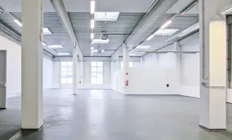 Lagerhalle 650 m2 + Büro 300 m2 Kombination südlich von Wien, in Wr. Neudorf