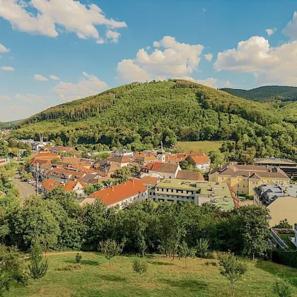 ***Alleinbeauftragt - Baugrundstück für Reihenhaussiedlung: Eine vielversprechende Entwicklungsgelegenheit! - Bild 3