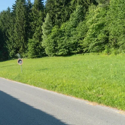 Jetzt pachten, später kaufen: Toller Baugrund am Waldesrand mit Weitblick - Bild 2