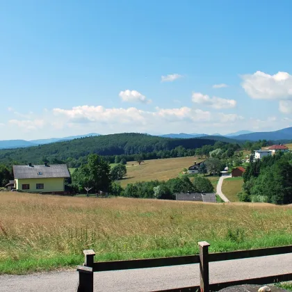 Atemberaubender Fernblick bis Rax und Schneeberg in ländlicher Idylle - Bild 2