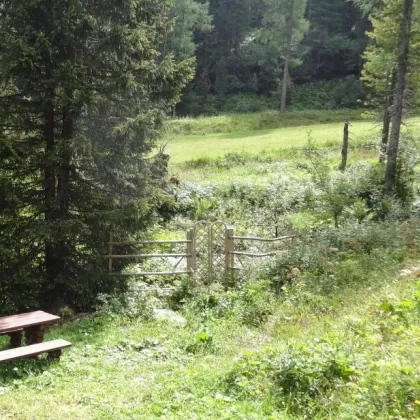 Turracher Höhe- Natur Pur genießen - Almhütte/Berghütte - Skifahren - Wandern in absoluter Traumlage - Bild 2