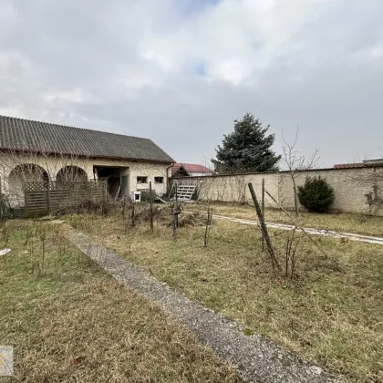 Pamhagen - erwecken Sie dieses idyllische Landhaus aus dem Winterschlaf - Bild 2