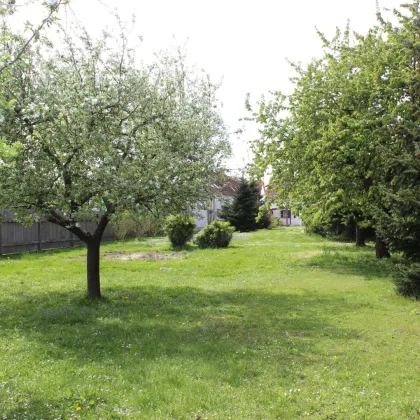 Nähe Güssing: Traditionelles Bauernhaus mit großem Garten - Bild 2