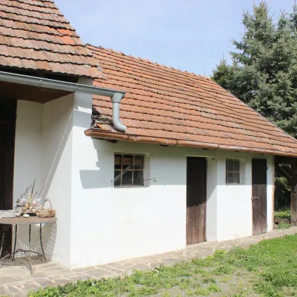 Nähe Güssing: Traditionelles Bauernhaus mit großem Garten - Bild 3