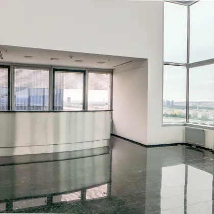 Manhattenfeeling in der Donau City - Penthouse Office mit imposanten Fernblick - 1.297qm - flexible Aufteilung - Ares Tower - Bild 2