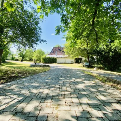 Litschau - verträumtes Landhaus mit wunderschönem Blick auf das Schloss! - Bild 2