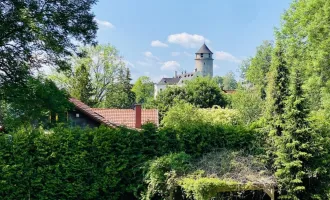 Litschau - verträumtes Landhaus mit wunderschönem Blick auf das Schloss!
