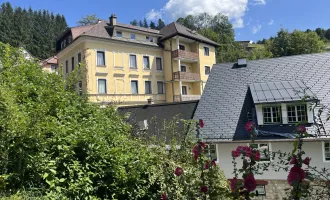 Tradition & Charme! Entzückende Pension in Mariazeller Bestlage - Heiliger Brunnen im Wallfahrtort