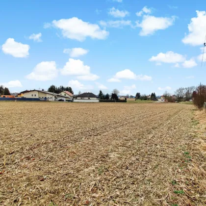 Pacht oder Baurecht an der Grenze zu DE. - Großes Betriebs-Baugebiet direkt an der Autobahn A8! - Bild 3