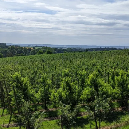 IDYLLISCHES LANDGUT in ALLEINLAGE - Modernisiert - Top-Zustand - Bild 3