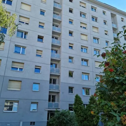 Modernisierte 4-Zi. Wohnung im 2.OG mit Loggia, inkl. KFZ-Freistellplatz - Bild 2