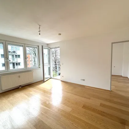 Hübsches 2-Zimmer Eigentum mit Balkon + Tiefgaragenplatz! 1160! - Bild 2