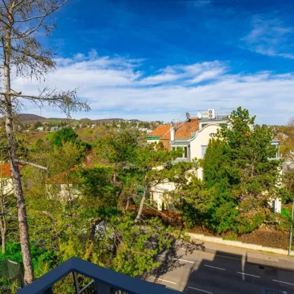 Exklusives Penthouse mit 4 Terrassen in einer der prestigeträchtigsten Straßen des Mikrobezirks 1180, an der Grenze zum Mikrobezirk 1190 - Bild 3