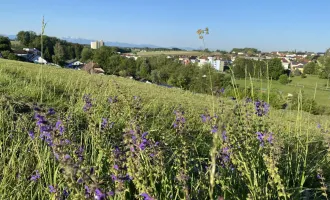 Neuer Preis - jetzt zugreifen ! Grundstück in der schönsten Wohnlage von St. Marien