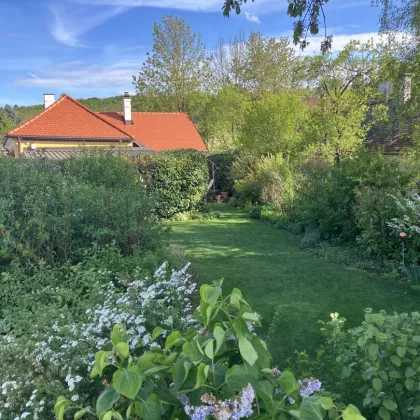 Traumhaft erhaltenes Ferienhaus - ca. 30min bis Wien (Stadtgrenze) - Bild 2