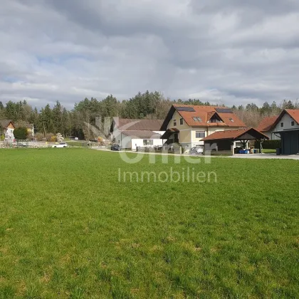 Sonniges Baugrundstück in schöner Grünlage - 15 km von Graz - Bild 3