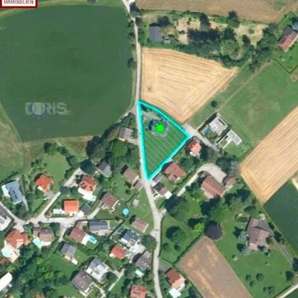 TOP LAGE & HERRLICHE AUSSICHT - SONNIG & RUHIG - KÜRNBERGER WALD - 2.156 m² Grundstück & 182 m² Wohnhaus - Bild 2