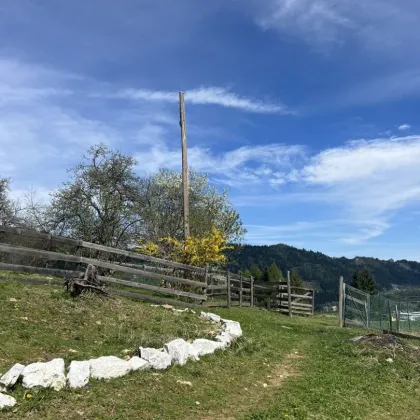 *** kleine Landwirtschaft mit Stallgebäude & Blockhaus *** - Bild 2