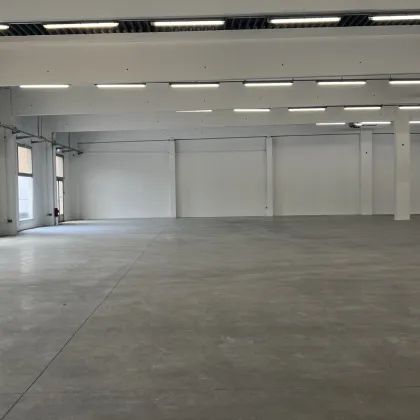 Büro & Lagerhalle C01/02 direkt an der Triesterstraße B17 zu mieten - Bild 2