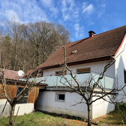 Geräumiges Satteldachhaus mit Sonnenterrasse und Garage in Ortsrandlage - Bild 2
