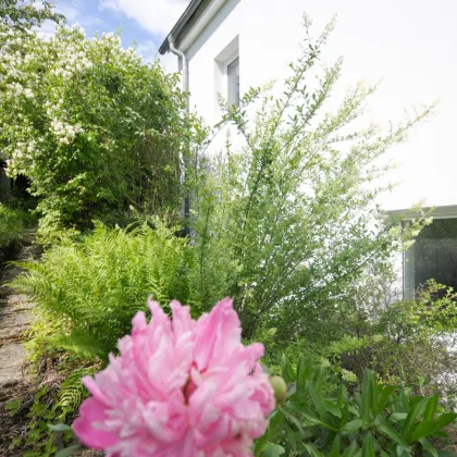 ST.PÖLTEN - IDEAL AUFGETEILTE UND SONNIGE 3-ZIMMER-WOHNUNG MIT GARTENANTEIL - Bild 2