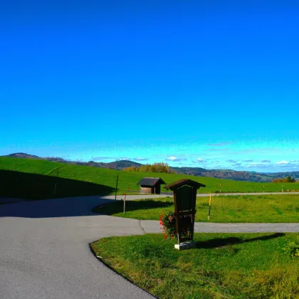 Top-Angebot -   Sonniges Baugrundstück in Tiefgraben-Mondsee  (Teilung eventuell möglich) nähe Irrsee - Bild 2