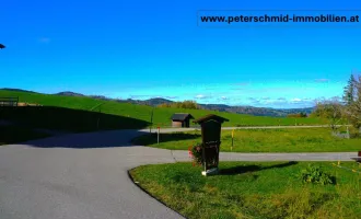 Top-Angebot -   Sonniges Baugrundstück in Tiefgraben-Mondsee  (Teilung eventuell möglich) nähe Irrsee