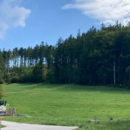 Top-Angebot -   Sonniges Baugrundstück in Tiefgraben-Mondsee  (Teilung eventuell möglich) nähe Irrsee - Bild 3