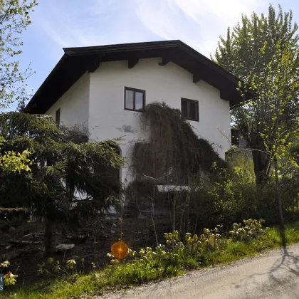 NIEDERAU - Einfamilienhaus - in sonniger Lage und sehr großem Garten - Sanierungsobjekt - Bild 2