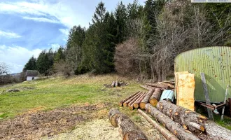 Waldnaher Baugrund in Ruhelage