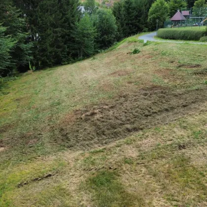 Baugrundstück mit Freiland im Feriengebiet - Bild 3