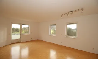 66 m² Anlegerwohnung in Luftenberg mit Fernblick und guter Rendite