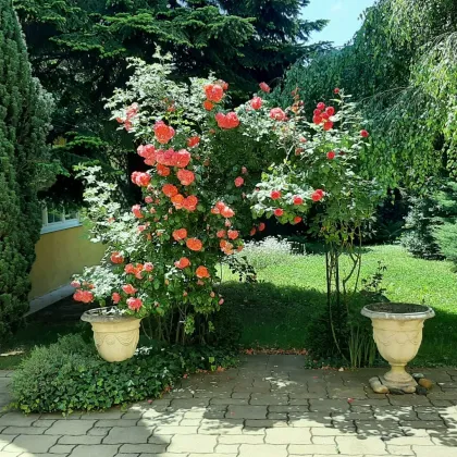 Biedermeiervilla - Rarität für Liebhaber mit gepflegtem Garten - Bild 3
