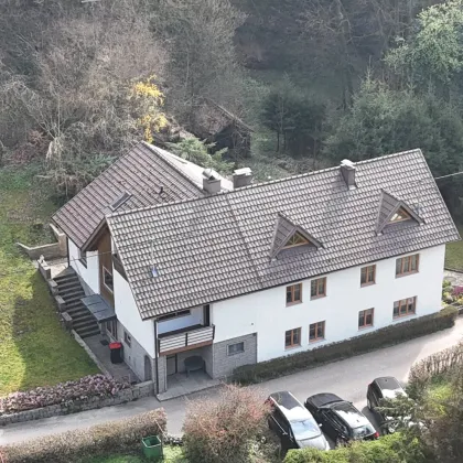 Einfamilienhaus in märchenhafter Schwertberger Naturlage am Fuße des Schlosses - Bild 3