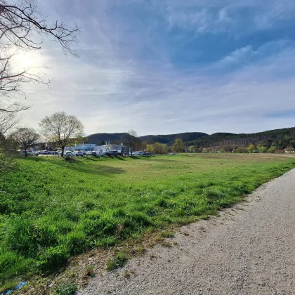 Gewerbegrundstücke in bester Lage an der B18 in St.Veit/Triesting - Bild 2