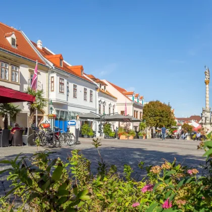 Willkommen in Eisenstadt: Hier beginnt Ihr neues Kapitel - Bild 2