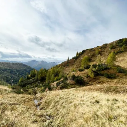 Traumhafte Gebirgs-Eigenjagd Inmitten der grandiosen Bergkulisse der Radstädter Tauern im Salzburger Lungau. - Bild 2