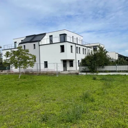 Reiheneckhaus BELAGSFERTIG in Bestlage  Korneuburg -  (HAUS1) - 128m², 2 Terrassen, Garten & Parkplatz - Bild 2