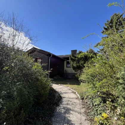 Nahe zu Wien: Bungalow mit Wintergarten und Naturgarten - Bild 3