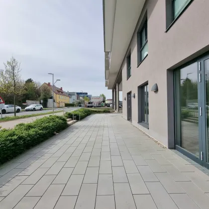 Mieten Sie jetzt Ihren individuellen Retail-Space mit Terrasse in zentraler Lage in St. Pölten! - Bild 3