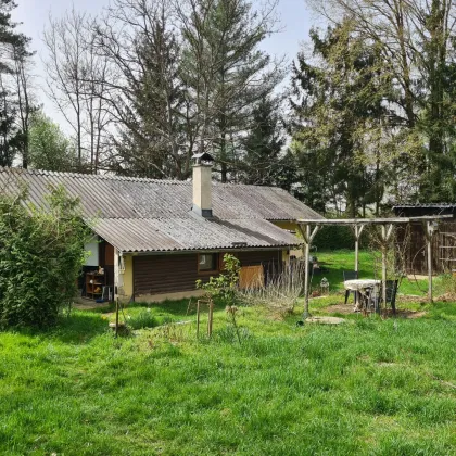 Älteres Kleinwohnhaus samt drei Teichen in sonniger und sehr ruhiger Alleinlage an einer Sackgasse. - Bild 2