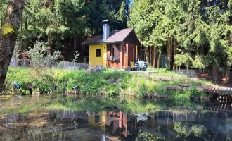 4162 Julbach: Fischteichanlage auf 2501m² großem Grundstück!