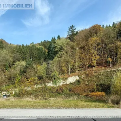 Grundstück direkt am Wasser - Bild 3