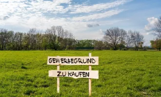 Eisenstadt Umgebung / Betriebsgrundstück ca. 55.000 m² (teilbar) zu kaufen