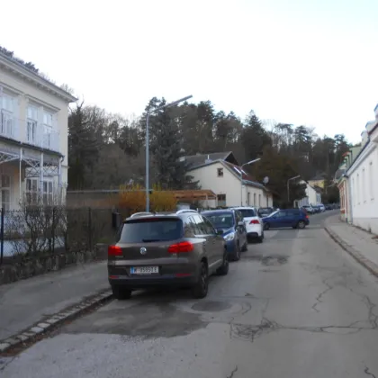 Baugrund zwischen Natur und Großstadt (ca.3011m²) - Bild 3