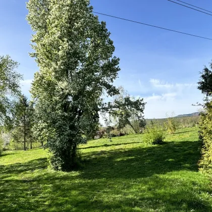 Paradies für Naturliebhaber - Grundstück mit 2 Teichen und Fischerhütte! - Bild 3