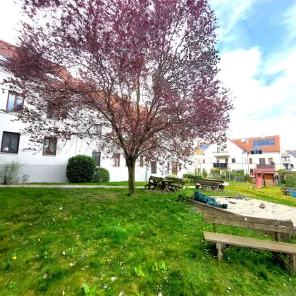 Dachgeschoßwohnung mit Balkon und Stellplatz - Garten und Natur inklusive! - Bild 2