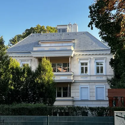 UNBEFRISTET: Dachterrasse und Balkon - helle, großzügige 5 Zimmer Wohnung mit Freiflächen und Lift in revitalisierter Altbauvilla - barrierefrei - Bild 3