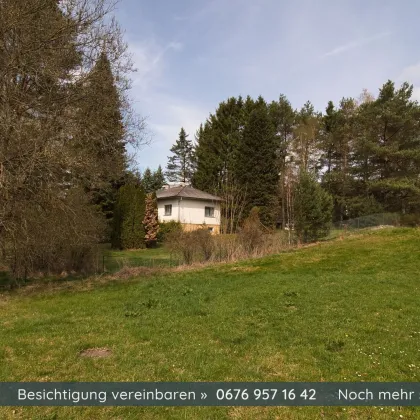 Einfamilienhaus in Top Lage mit 9.450m² Grundstück in Amaliendorf - Bild 2