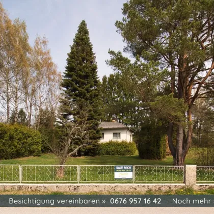 Einfamilienhaus in Top Lage mit 9.450m² Grundstück in Amaliendorf - Bild 3